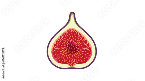 Detailed Illustration of Fresh Fig Fruit.