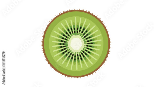 Cross Section of Fresh Kiwi Fruit.