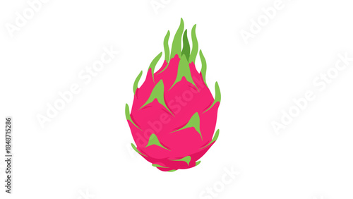 Dragon Fruit Illustration with Green Leaves.