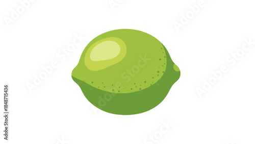 Lime Fruit Cut in Half Illustration.