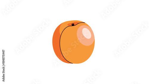 Orange Fruit with Stem and Shine.