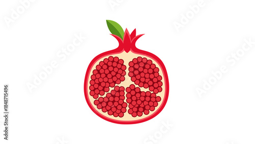 Pomegranate Fruit Cut Open with Seeds.