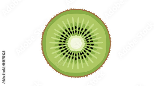 Sliced Kiwi Fruit on White Background.