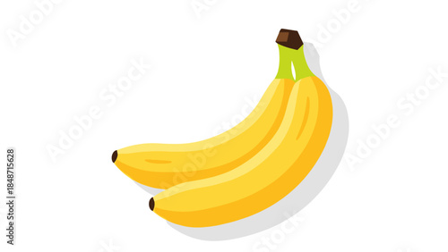 Two Yellow Bananas with Green Stem.