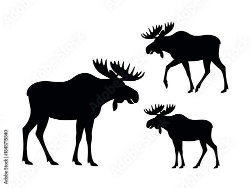 Black Silhouettes of Moose Animals