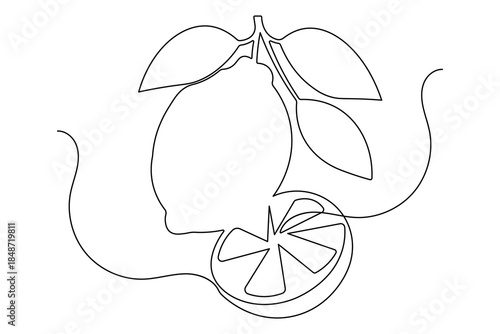 Minimalist lemon continuous line drawing simple style citrus outline