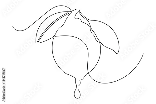 Minimalist style lemon illustration continuous line drawing isolated