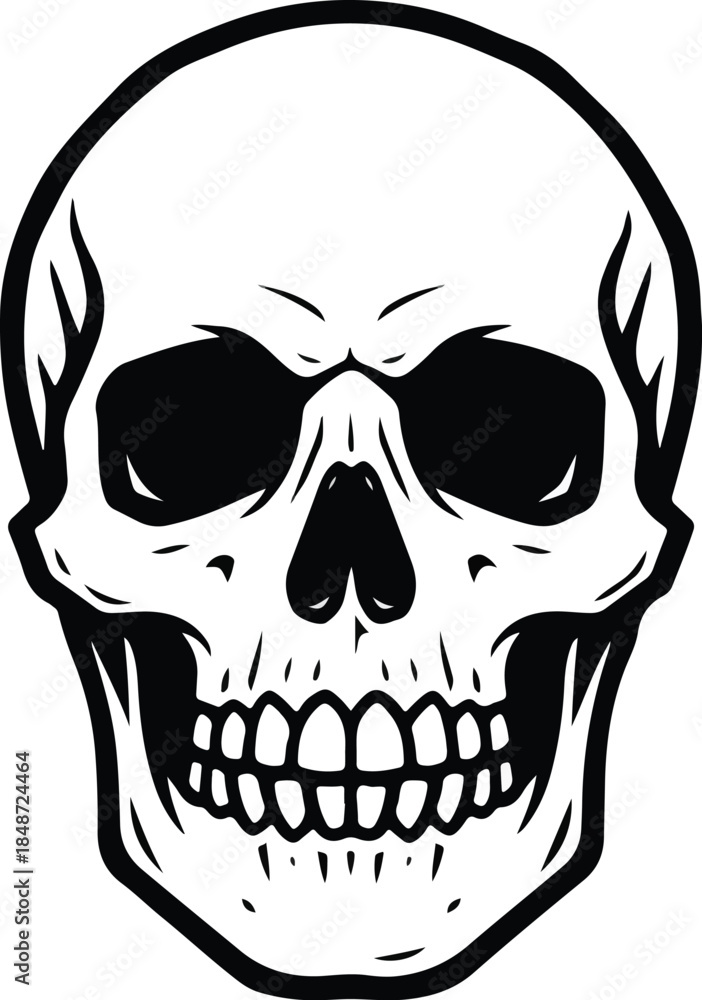 Fototapeta premium Detailed Skull Illustration with Intricate Line Work and Shading.