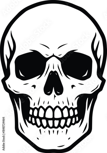 Detailed Skull Illustration with Intricate Line Work and Shading.