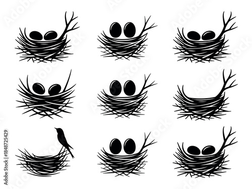 Bird Nests with Eggs Illustrations