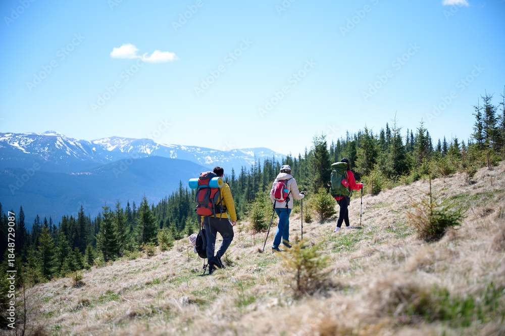 Fototapeta premium Experienced hikers walking on a mountain trail. Group of friends equipped with hiking gear climbing the mountain. Scenery of snowy mountains.