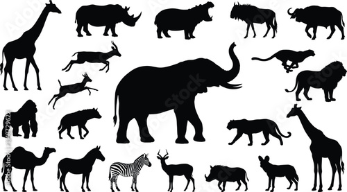 African wildlife silhouette set, elephant, giraffe, lion, zebra, rhino, black vector, isolated, stock illustration, animal diversity