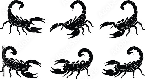 Scorpion silhouette set, various poses and tail gestures, black vector, isolated, stock illustration, arachnid anatomy icons