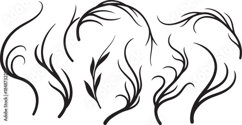 Black swirling vine and branch design elements set