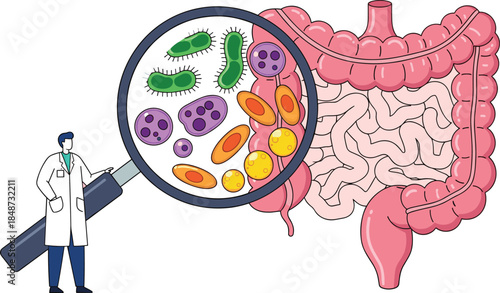 Human digestive system, cartoon intestines, gut microbiota, magnifying glass, bacteria diversity, doctor character, health concept, flat vector illustration