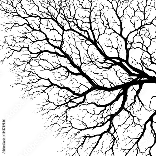 Dark mysterious background with subtle gradient texture and neutral tones for creative design projects and artistic expressions