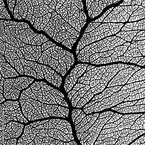 Dark mysterious background with subtle gradient texture and no visible objects or features present anywhere in sight