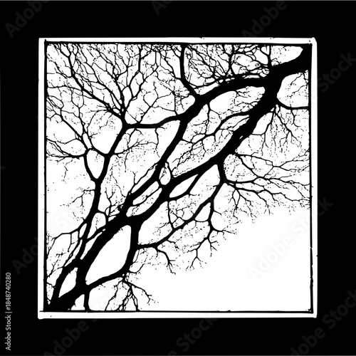 Dark mysterious background with subtle gradient texture and no visible objects or features present anywhere in sight