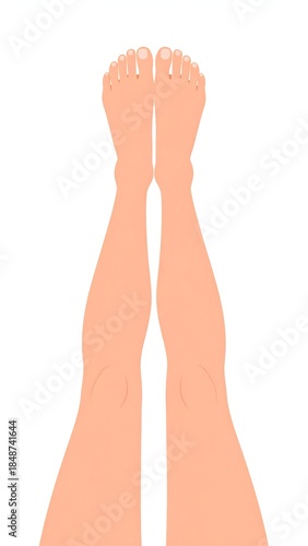 Digitally rendered illustration of human legs and feet, facing upwards