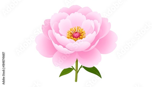 Digitally rendered peony flower in full bloom, soft pink petals, white background