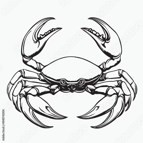 vector illustration of a crab
