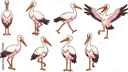 Set of cartoon storks in different poses isolated on white background cute birds with long legs and beaks, standing, walking, and flying vector illustration
