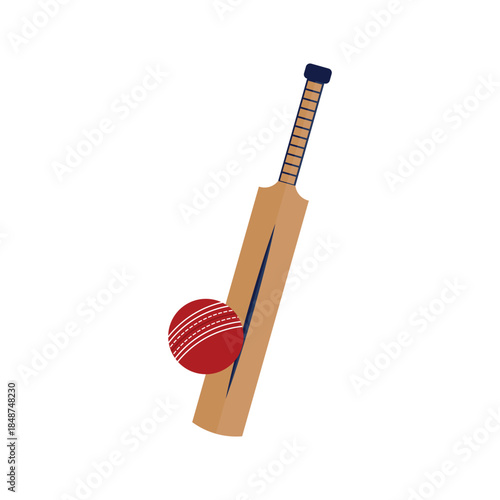 Cricket Bat