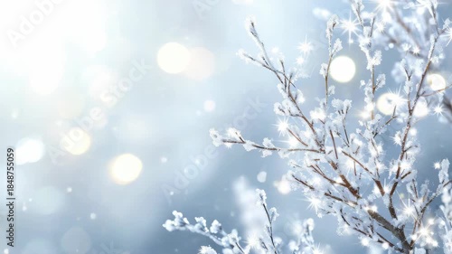 Snow covered branches with bokeh effect of falling snow, creating a serene winter scene.