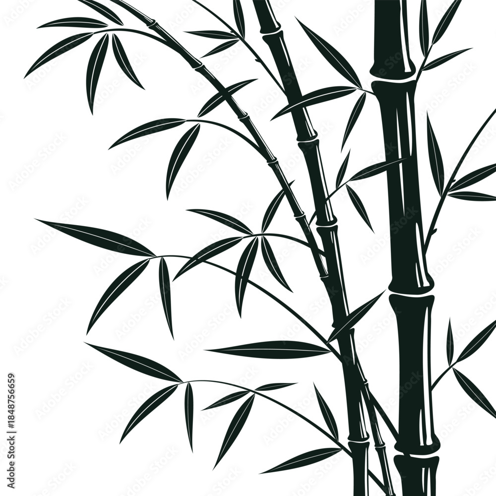 Obraz premium Bamboo tree with leaves. Black silhouette of bamboo on a white background.