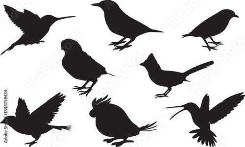 Silhouettes of various birds in flight and perched a simple avian illustration