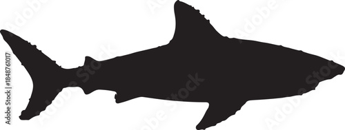 Silhouette of a shark