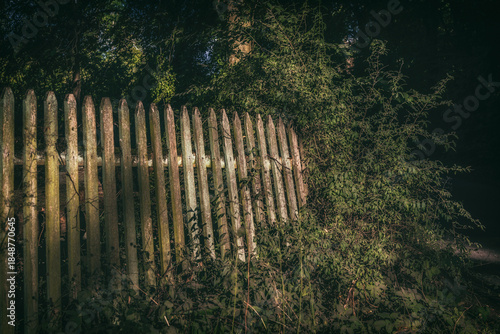 LANDSCAPE VILLAGE - An old board fence by the road in the sunlight
