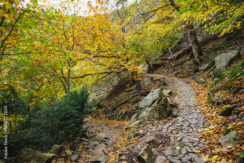 Steep Hiking Trail on the Schurre Path in the Harz Mountains