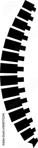 Human spine bone icon with anatomical vertebra isolated on white background. Medical anatomy symbol. Health care concept. Vector illustration for biology, medicine, doctor, hospital
