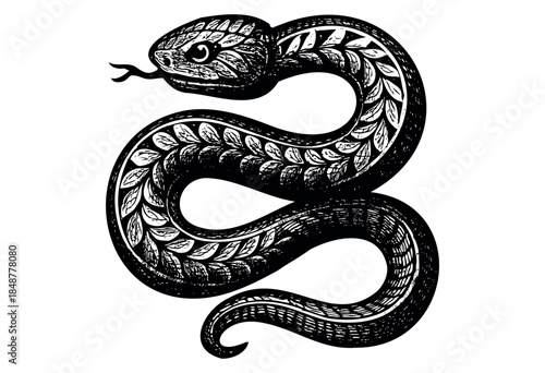 A highly detailed, black and white, woodcut-style illustration of a coiled serpent with intricate leaf-like patterns adorning its body against a stark white background.