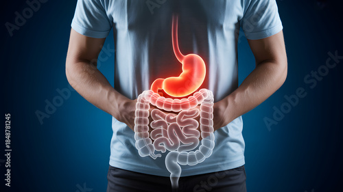 Human digestive system illustration displayed over torso on blue, emphasizing stomach, small intestine, colon, and esophagus
