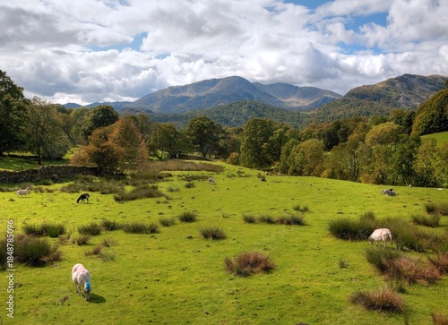 Photos Loughrigg Fell, Cumbria