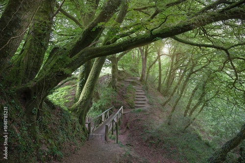 Lydford Gorge, Devon, England