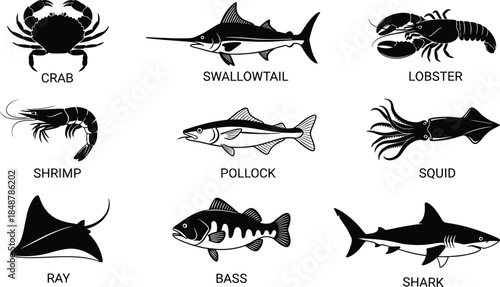 Collection of sea creatures and fish silhouettes including crab lobster shrimp and shark for seafood menu design cad drawing flat vector illustration