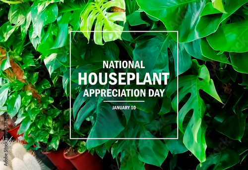Valokuva National Houseplant Appreciation Day poster stock photo images