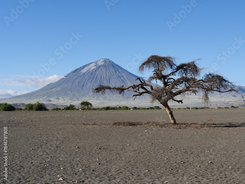 Volcan Ol Doinyo Lengai