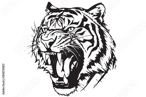 Roaring tiger head vector illustration, a fierce predator snarling with an open mouth, black and white wildlife line art for a mascot, logo, or tattoo design.
