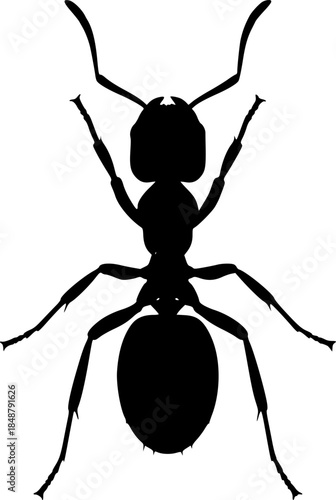 Cartoon Insect Animal Vector Illustration Icon
