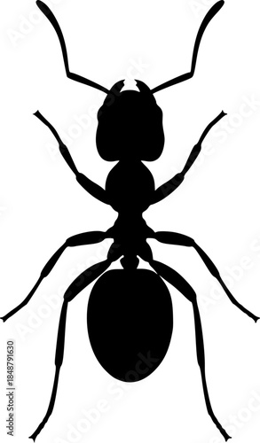 Cartoon Insect Animal Vector Illustration Icon
