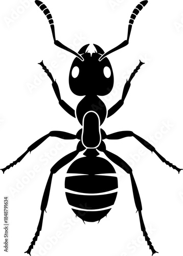 Cartoon Insect Animal Vector Illustration Icon
