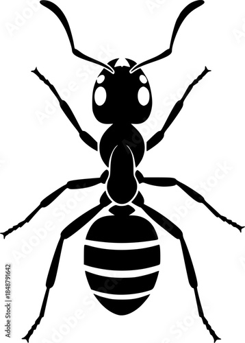 Cartoon Insect Animal Vector Illustration Icon

