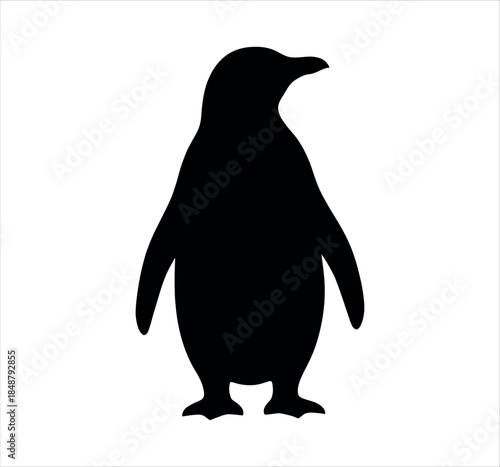 Penguin bird silhouette vector graphic isolated on white background