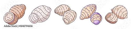 Five illustrations of taro root varieties and their edible parts with scientific names indicated