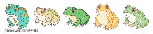 Collection of diverse toads showcasing varied colors and textures in a naturalistic setting