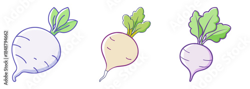 Three fresh turnip vegetables with green leaves artistic rendering for healthy eating and culinary inspiration